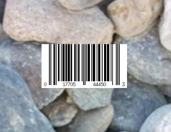 barcode printed on a rock
