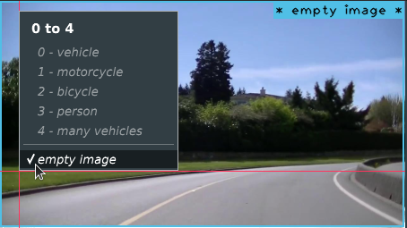 empty image in DarkMark