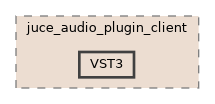 VST3